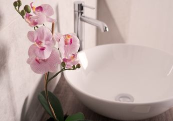 5 Jenis Bunga Ini Cocok Banget untuk Setiap Ruangan di Rumahmu!