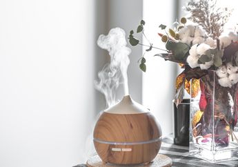 Jangan Salah Lagi! Kenali Perbedaan Diffuser, Humidifier, dan Purifier yang Harus Kamu Ketahui&nbsp;