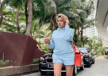 Harta Duniawinya Bukan Kaleng-kaleng hingga Tembus Rp 1,3 Triliun, Dapur Sempit Nikita Mirzani Langsung Jadi Sorotan!