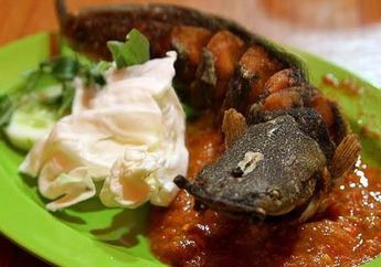 4 Arti Mimpi Makan Ikan, Waspada Bila Sedang Menyantap Lele!