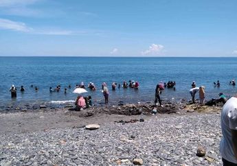Bentuknya Butiran Mirip Batu-batu Kecil, Heboh Warga Pesisir Pantai Ini Temukan Material Emas: Awalnya Hanya Coba-coba