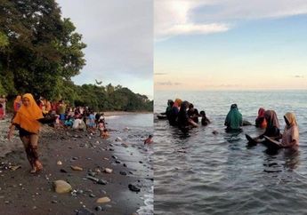 4 Hari Jelang Kedatangan Jokowi, Warga Pesisir Pantai Maluku ini Bak Ketiban Rezeki Digegerkan dengan Penemuan Pasir Emas
