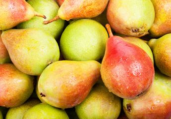 Ajaib! Cuma Makan Buah Apel dan Pir, Kamu Akan Rasakan Perubahan yang Luar Biasa Pada Kesehatan Gigi