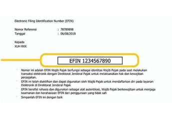 Ingin Lapor SPT Online tapi Lupa EFIN? Ikuti Langkah-langkah Berikut Ini