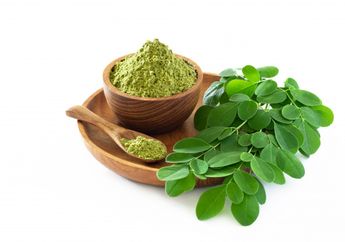 Tak Cuma Dipercaya Bisa Usir Jin dari Tubuh Manusia Hingga Jadi Bumbu Masakan, Daun Kelor Ternyata Bisa Tingkatkan Imunitas dan Bikin Kantong Tebal di Tengah Pandemi