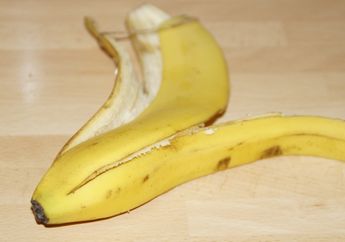 Tak Banyak yang Tahu Kalau Kulit Pisang Bisa Dijadikan Pupuk Alami, Begini Caranya