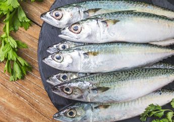 Daftar Ikan Murah Meriah yang Punya Kandungan Omega 3 Tinggi, Ampuh Cegah Stroke hingga Gagal Jantung