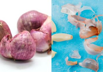 Stop Buang Kulit Bawang Mulai Sekarang! Ternyata Bisa Dimanfaatkan untuk Berbagai Hal Ini, Termasuk Menyuburkan Tanaman