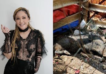 Maia Estianty Komentari Kasus Babi Ngepet di Depok yang Viral, Istri Irwan Mussry Unggah Video Anjing Susui Babi dan Petik Pelajaran: Anjing Ini Berperikehewanan