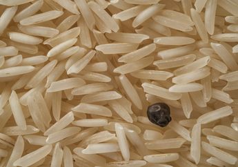 Mubazir Kalau Dibuang, Ternyata Begini Cara Menyelamatkan Beras Berkutu Agar Bersih Kembali!