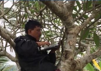Cerita Perjuangan Guru Agama di Bali, Naik ke Atas Pohon Demi Dapatkan Akses Internet Selama Belajar dari Rumah 