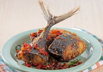 Jadi Tak Nikmat Makan Ikan Tongkol Kalau Masih Terasa Pahit, Coba Lakukan Trik Ini Untuk Mengatasinya, Nggak Pakai Ribet!