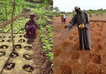 Awalnya Diolok-olok karena Berambisi Menghijaukan Gurun Afrika Tandus, Pria ini Jadi Pahlawan Setelah Berhasil Ciptakan Hutan Setelah Berjuang Selama 30 Tahun