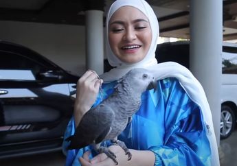 Semenjak Punya Burung Kakaktua Seharga Rp 16,5 Juta, Kebiasaan Nathalie Holscher Hamil Disebut Berubah hingga Sule Sempat Kesal
