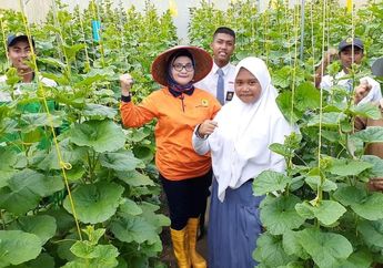 Tailor Made Training Plus: Program Kerja Sama Pendidikan Vokasi Indonesia-Belanda