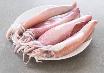 100 Persen Anti Alot! Ternyata Inilah Rahasia Pedagang Mengolah dan Memasak Cumi Agar Empuk, Kuncinya Ada 3 Bahan Ini