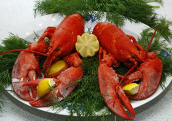 Arti Mimpi Tentang Lobster Mulai dari Menangkap hingga Makan Lobster, Ternyata Jadi Tanda Kebahagiaan dan Kekuatan