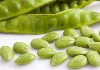 Nyesel Baru Tahu Sekarang, Ternyata Makan Petai Setiap Hari Bisa Atasi Depresi hingga Gangguan PMS Pada Wanita 