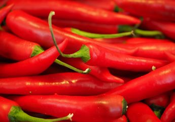 Jangan Ngaku Pecinta Pedas Kalau Belum Berani Nyobain 5 Cabai Terpedas di Dunia Ini, Cabai Indonesia Masuk Nggak ya?