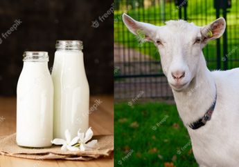 Jangan Remehkan, Mandi Pakai Lulur Susu Domba Setiap Hari Ternyata Bisa Membawa Perubahan Pada Kulit, Bisa Jadi Pengganti Parfum Juga loh!