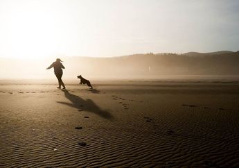 Jangan Anggap Remeh! Ini Arti Mimpi Dikejar Lawan Jenis yang Menandakan Bahwa Kamu Harus Segera..