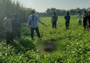 Leher dan Dadanya Menghitam, Terungkap Penyebab Kematian Mayat Misterius yang Ditemukan di Perkebunan Kangkung di Mojokerto, Tingkah Laku Korban Sebelum Tiada Jadi Petunjuk 