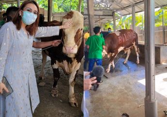 Rayakan Idul Adha 2021, Ayu Ting Ting Kurban Empat Sapi hingga Ungkap Fakta Ini