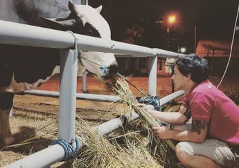 Dulu Laris Manis Hiasi Layar Kaca sampai Disebut Raja FTV, Artis Ganteng ini Banting Setir Gantungkan Hidupnya dari Jualan Sapi, Tengok Nasibnya Kini