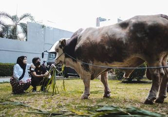 Kini Rayakan Idul Adha 2021 dengan Status sebagai Suami Aurel Hermansyah, Atta Halilintar Legawa Lewatkan Momen Hari Raya Kurban Tanpa Kehadiran Keluarganya yang Masih Berada di Malaysia