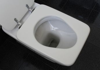 Pantesan Toilet di Rumah Sering Mampet, Ternyata Gegara 4 Kebiasaan Ini, Jangan Diulangi ya!