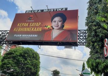  Dinilai Tak Peka dan Berempati, Baliho Puan Maharani yang Menjamur di Berbagai Daerah Mendapat Sorotan Keras, Begini Tanggapan Politikus Senior PDIP!