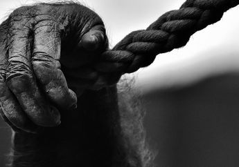 Mulutmu Harimaumu, Simak Ramalan Shio Monyet di Bulan Agustus 2021, Asmaramu Bakal Alami Hal Mengejutkan Ini