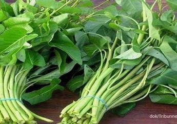 Jangan Mau Meskipun Gratis, Kangkung dengan Kondisi Seperti Ini Sangat Berbahaya, Bisa Bikin Satu Keluarga Masuk Rumah Sakit!