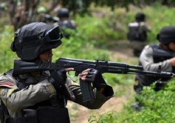 Tentara Penjaga Perbatasan Curiga dengan Dua Kasur Misterius, Saat Dibuka Isinya Mengejutkan