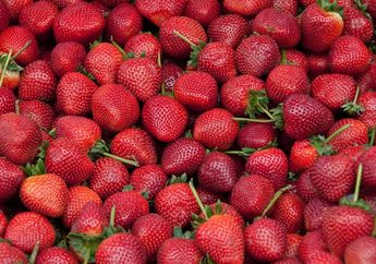 Para Jomblo Akhirnya Punya Kesempatan, Arti Mimpi Strawberry Ternyata Bawa Kabar Baik Soal Percintaan dan Persahabatan!