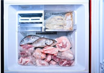 Bikin Geleng-geleng Kepala, Ternyata Kesalahan Menyimpan Ikan di Kulkas Bisa Jadi Petaka Untuk Keluarga Satu Rumah, Simak Alasannya!