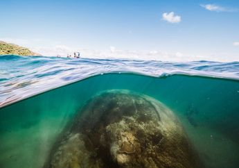 Karang Raksasa Berusia 400 Tahun Ditemukan di Great Barrier Reef
