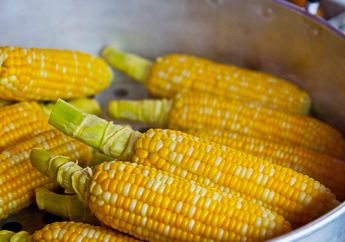 Awas! Bisa Fatal Kalau Orangtua Tidak Teliti, Begini Tips Memasukkan Jagung dalam MPASI Bayi, Jangan Sampai Membahayakan si Kecil