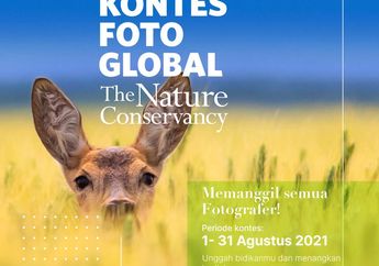 Masih Ada Kesempatan Ikut Kompetisi Foto Global The Nature Conservancy 2021, Ini Informasinya