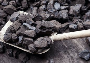 Sumber Daya Alam Hayati dan Non Hayati: Pengertian, Jenis, Sifat, dan Contohnya