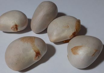 Nggak Lagi-lagi Buang Biji Buah Ini, Jika Dikonsumsi Rutin Ternyata Manfaatnya Ampuh Mulai dari Mengurangi Sembelit Hingga Mencegah Kanker