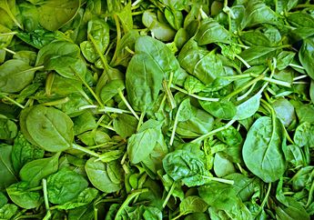 Hati-hati Tertipu, Saat Membeli Bayam Sebaiknya Jangan Pilih yang Punya Ciri Seperti ini!