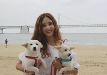 Body Tetap Kayak Boneka Barbie Meski Sudah Lahirkan Anak Konglomerat, Inilah Arti Nama Han Chae Young, CEO Cantik di Drama Sponsor