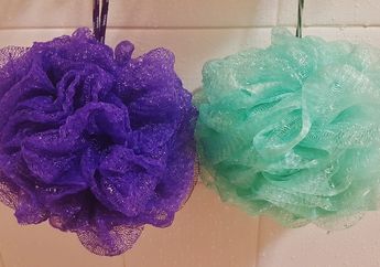 Bisa Jadi Penyebab Satu Keluarga Sakit-sakitan, Tolong Mulai Sekarang Jangan Malas Cuci Spons Mandi, Begini Caranya!