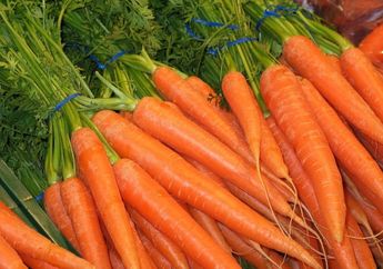 Kunci Jawaban Materi Kelas 6 Tema 1, Berasal dari Akar, Kenapa Wortel Bisa Berwarna Oranye?