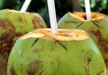 Satu Indonesia Tertipu, Minum Air Kelapa Memang Bagus untuk Kesehatan, Tapi Orang dengan Kondisi Ini Harus Waspada dengan Efek Sampingnya!