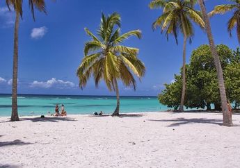 Karma Instan, Asyik Liburan Bareng Selingkuhan, Pria Ini Syok Saat Rumah Ludes dan Dapat Titipan Ini dari Tetangga