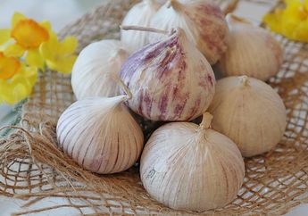 8 Manfaat Bawang Putih Tunggal yang Tak Banyak Orang Tahu, Ternyata Jadi Rahasia Kesehatan dan Kebugaran Loh
