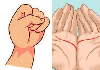 Bukan Hanya dari Kepalan, Garis Tangan Juga Bisa Tunjukkan Kepribadianmu, Cek Yuk!