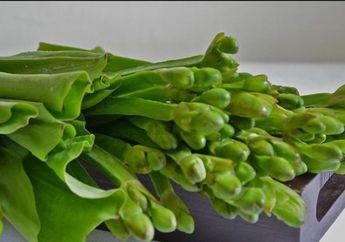 Selalu Dikait-kaitkan dengan Kejadian G30S PKI, Apa Itu Sayur Genjer?